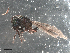  ( - UNEIE00012)  @12 [ ] CreativeCommons  Attribution Non-Commercial Share-Alike  Unspecified University of New England, Australia