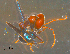  ( - UNEIE00115)  @11 [ ] CreativeCommons  Attribution Non-Commercial Share-Alike  Unspecified University of New England, Australia