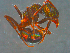  ( - UNEFKR00302)  @13 [ ] CreativeCommons  Attribution Non-Commercial Share-Alike  Unspecified University of New England, Australia