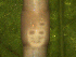  ( - UP18-1295-10A1)  @11 [ ] Unspecified (default): All Rights Reserved  Unspecified Unspecified
