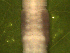  ( - UP18-1301-11A3)  @11 [ ] Unspecified (default): All Rights Reserved  Unspecified Unspecified