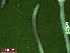  ( - UP18-1302-12A1)  @11 [ ] Unspecified (default): All Rights Reserved  Unspecified Unspecified