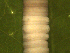  ( - UP18-1303-13A1)  @11 [ ] Unspecified (default): All Rights Reserved  Unspecified Unspecified