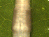  ( - UP18-1319-14A10)  @11 [ ] Unspecified (default): All Rights Reserved  Unspecified Unspecified