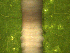  ( - UP18-1311-14A2)  @11 [ ] Unspecified (default): All Rights Reserved  Unspecified Unspecified