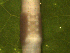  ( - UP18-1318-14A9)  @11 [ ] Unspecified (default): All Rights Reserved  Unspecified Unspecified