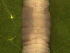  ( - UP18-1321-15A1)  @11 [ ] Unspecified (default): All Rights Reserved  Unspecified Unspecified