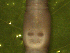  ( - UP18-1323-17A1)  @11 [ ] Unspecified (default): All Rights Reserved  Unspecified Unspecified