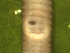  ( - UP18-1324-17A2)  @11 [ ] Unspecified (default): All Rights Reserved  Unspecified Unspecified