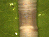  ( - UP18-1325-17A3)  @11 [ ] Unspecified (default): All Rights Reserved  Unspecified Unspecified