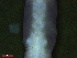  ( - UP18-1262-2A1)  @11 [ ] Unspecified (default): All Rights Reserved  Unspecified Unspecified