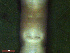  ( - UP18-1263-2A2)  @11 [ ] Unspecified (default): All Rights Reserved  Unspecified Unspecified