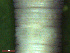  ( - UP18-1264-2A3)  @11 [ ] Unspecified (default): All Rights Reserved  Unspecified Unspecified