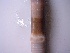  ( - MNP17-973-37A12)  @11 [ ] Unspecified (default): All Rights Reserved (2017) Shweta Yadav Dr H S Gour Vishwavidylaya (Cental University),Sagar 470003 MP,India