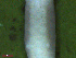  ( - UP18-1268-3A4)  @11 [ ] Unspecified (default): All Rights Reserved  Unspecified Unspecified