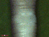  ( - UP18-1270-4A1)  @11 [ ] Unspecified (default): All Rights Reserved  Unspecified Unspecified