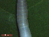  ( - UP18-1272-4A3)  @11 [ ] Unspecified (default): All Rights Reserved  Unspecified Unspecified