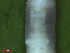  ( - UP18-1274-4A5)  @11 [ ] Unspecified (default): All Rights Reserved  Unspecified Unspecified