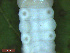  ( - UP18-1275-4A6)  @11 [ ] Unspecified (default): All Rights Reserved  Unspecified Unspecified