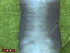  ( - UP18-1276-4A7)  @11 [ ] Unspecified (default): All Rights Reserved  Unspecified Unspecified