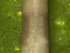  ( - UP18-1284-6A4)  @11 [ ] Unspecified (default): All Rights Reserved  Unspecified Unspecified