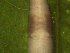  ( - UP18-1292-8A4)  @11 [ ] Unspecified (default): All Rights Reserved  Unspecified Unspecified
