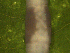  ( - UP18-1294-9A2)  @11 [ ] Unspecified (default): All Rights Reserved  Unspecified Unspecified
