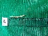  (Drawida peridosa - MZ016A90564)  @11 [ ] Indian (2016) Shweta Yadav Dr H.S Gour Vishwavidylaya,Sagar