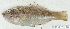  ( - S0001_004)  @11 [ ] CreativeCommons - Attribution Non-Commercial Share-Alike (2017) Henitsoa Jaonalison IH.SM, Toliara, Madagascar