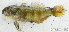  ( - S0004_039)  @11 [ ] CreativeCommons - Attribution Non-Commercial Share-Alike (2017) Henitsoa Jaonalison IH.SM, Toliara, Madagascar