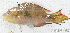  ( - S0004_085)  @11 [ ] CreativeCommons - Attribution Non-Commercial Share-Alike (2017) Henitsoa Jaonalison IH.SM, Toliara, Madagascar
