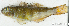  ( - S0005_017)  @11 [ ] CreativeCommons - Attribution Non-Commercial Share-Alike (2017) Henitsoa Jaonalison IH.SM, Toliara, Madagascar