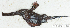  ( - S0005_032)  @11 [ ] CreativeCommons - Attribution Non-Commercial Share-Alike (2017) Henitsoa Jaonalison IH.SM, Toliara, Madagascar
