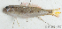  ( - S0005_061)  @11 [ ] CreativeCommons - Attribution Non-Commercial Share-Alike (2017) Henitsoa Jaonalison IH.SM, Toliara, Madagascar