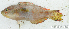  ( - S0006_004)  @11 [ ] CreativeCommons - Attribution Non-Commercial Share-Alike (2017) Henitsoa Jaonalison IH.SM, Toliara, Madagascar