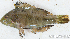  ( - S0006_018)  @11 [ ] CreativeCommons - Attribution Non-Commercial Share-Alike (2017) Henitsoa Jaonalison IH.SM, Toliara, Madagascar