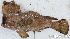  ( - S0006_023)  @11 [ ] CreativeCommons - Attribution Non-Commercial Share-Alike (2017) Henitsoa Jaonalison IH.SM, Toliara, Madagascar