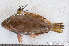  ( - S0006_040)  @11 [ ] CreativeCommons - Attribution Non-Commercial Share-Alike (2017) Henitsoa Jaonalison IH.SM, Toliara, Madagascar