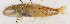  ( - S0008_026)  @11 [ ] CreativeCommons - Attribution Non-Commercial Share-Alike (2018) Henitsoa Jaonalison IH.SM, Toliara, Madagascar