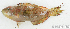  ( - S0008_028)  @11 [ ] CreativeCommons - Attribution Non-Commercial Share-Alike (2017) Henitsoa Jaonalison IH.SM, Toliara, Madagascar