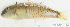  ( - S0008_030)  @11 [ ] CreativeCommons - Attribution Non-Commercial Share-Alike (2017) Henitsoa Jaonalison IH.SM, Toliara, Madagascar