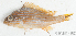  ( - S0010_004)  @11 [ ] CreativeCommons - Attribution Non-Commercial Share-Alike (2017) Henitsoa Jaonalison IH.SM, Toliara, Madagascar