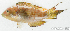  ( - S0010_011)  @11 [ ] CreativeCommons - Attribution Non-Commercial Share-Alike (2017) Henitsoa Jaonalison IH.SM, Toliara, Madagascar