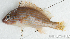  ( - S0012_021)  @11 [ ] CreativeCommons - Attribution Non-Commercial Share-Alike (2017) Henitsoa Jaonalison IH.SM, Toliara, Madagascar