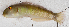  ( - S0015_037)  @11 [ ] CreativeCommons - Attribution Non-Commercial Share-Alike (2018) Henitsoa Jaonalison IH.SM, Toliara, Madagascar