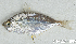  ( - S0019_011)  @11 [ ] CreativeCommons - Attribution Non-Commercial Share-Alike (2017) Henitsoa Jaonalison IH.SM, Toliara, Madagascar