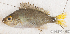  ( - S0019_028)  @11 [ ] CreativeCommons - Attribution Non-Commercial Share-Alike (2017) Henitsoa Jaonalison IH.SM, Toliara, Madagascar