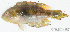  ( - S0026_009)  @11 [ ] CreativeCommons - Attribution Non-Commercial Share-Alike (2017) Henitsoa Jaonalison IH.SM, Toliara, Madagascar