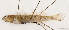  ( - S0039_004)  @11 [ ] CreativeCommons - Attribution Share-Alike (2018) Henitsoa Jaonalison Institut Halieutique et des Sciences Marines