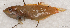  ( - S0050_004)  @11 [ ] CreativeCommons - Attribution Non-Commercial Share-Alike (2018) Henitsoa Jaonalison IH.SM, Toliara, Madagascar